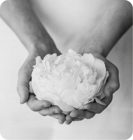 Sexual wellness illustration